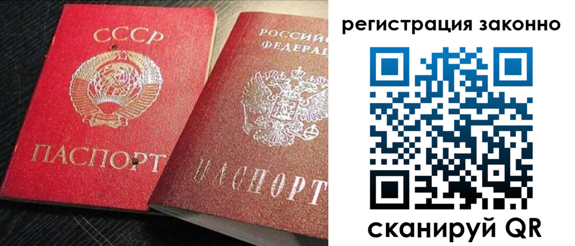 прописка для работы в Пионерском